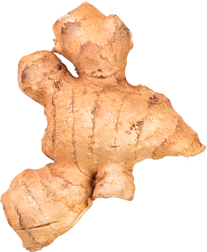 ginger